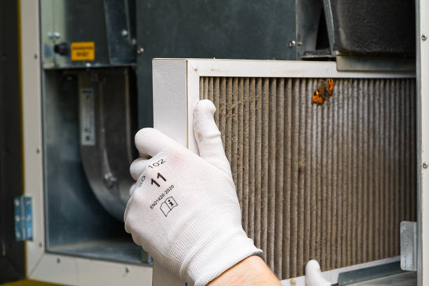 Best Professional Duct Cleaning Services  in Black River Falls, WI